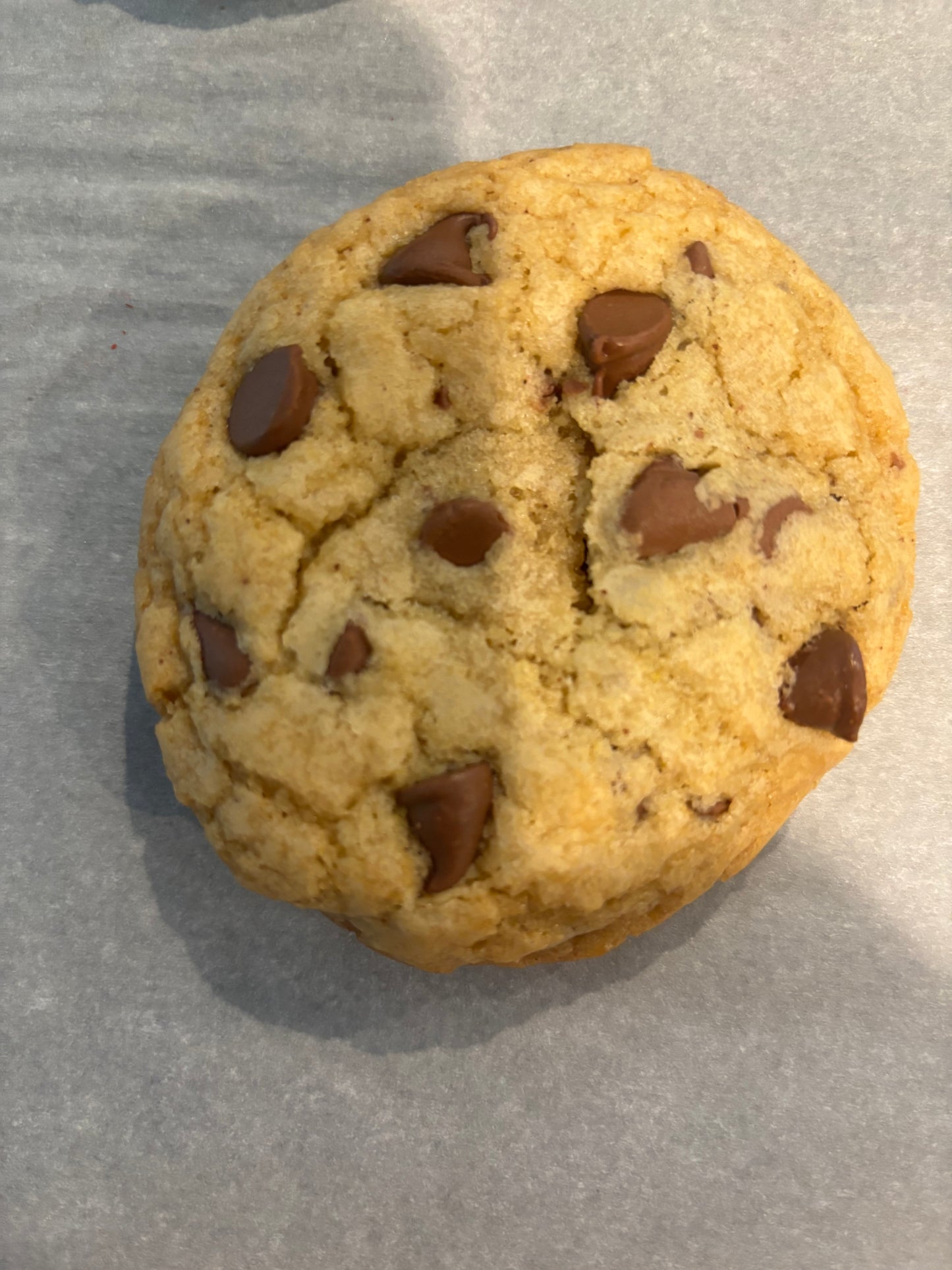 Chocolate Chip