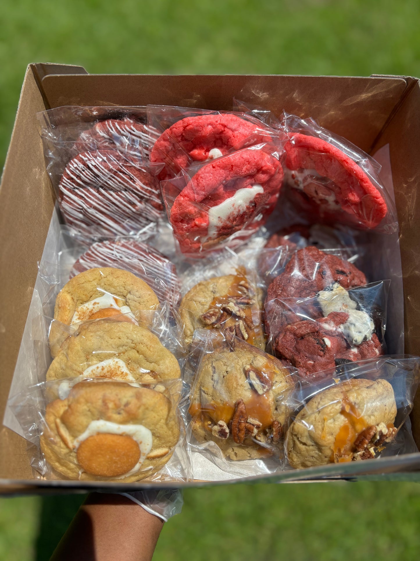Dozen Pack Variety Box